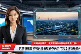 安徽省住建厅：全面取消住房限制性措施，停止新建安置房，大力推行“房票”等货币化安置视频封面