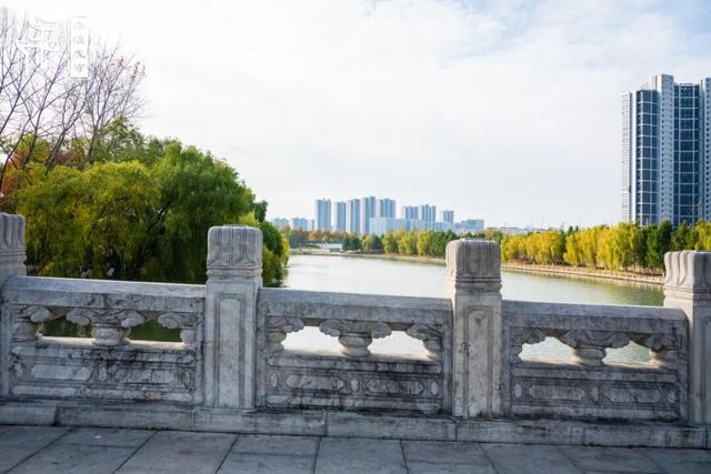 秦淮citywalk｜七桥瓮湿地公园