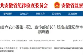 六安市委副书记、宣传部部长车照启被查图片
