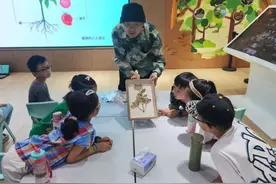 观叶赏花，寻虫问鸟，孩子们在这片森林中“访友”图片