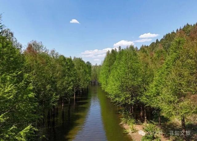 本地人力荐的半日宝藏打卡地！来寻甸自由“森”呼吸~