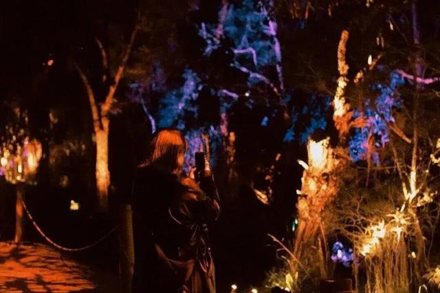 别挤环球影城了！“哈利·波特：禁林体验”门票继续免费送