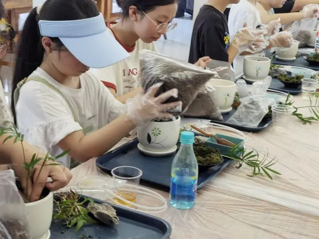 何须远行？亭林就藏着一条宝藏路线…