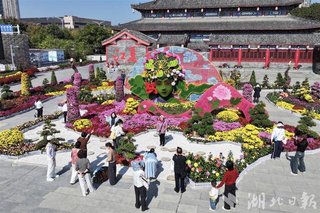 江夏菊展持续火爆 “戏曲”元素出圈