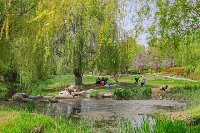 李村河畔，春和景明