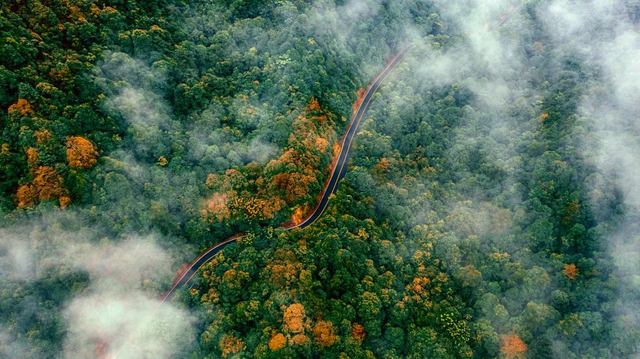 在上饶德兴享受独处的快乐，5个静谧空间超适合i人！