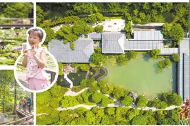 云溪植物园开园图片