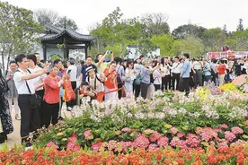 2025粤港澳大湾区花园大赛开幕图片