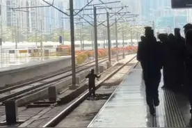杭州东站一男子闯入动车轨道狂奔致列车大面积晚点？铁路警方已介入图片