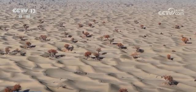 各地解锁秋冬限定美景 一键Get冬日出游新场景新玩法