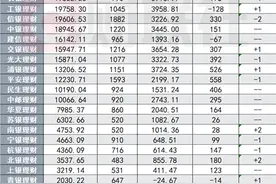 银行理财年末盘点②：站稳30万亿大关，理财规模大战哪家强？固收＋产品助力吸金图片