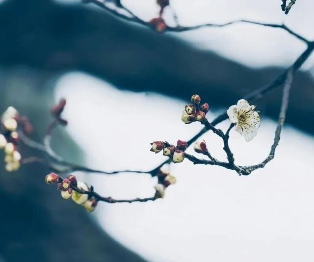 盐城春节活动第一波上新！