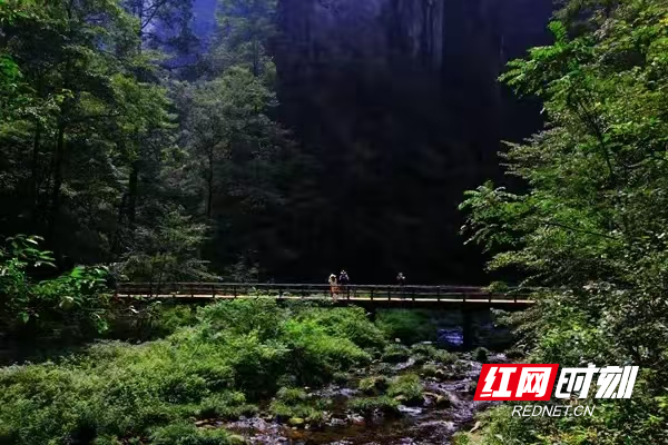 张家界金鞭溪：游客沉醉山水间 感受自然之美
