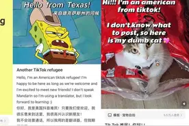 美国网友涌进小红书，他们和中国网友聊了啥图片