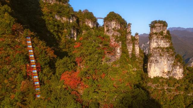 湖北有礼 | 免费领门票！打卡三峡红叶季，赴柴埠溪、百里荒金秋浪漫之约
