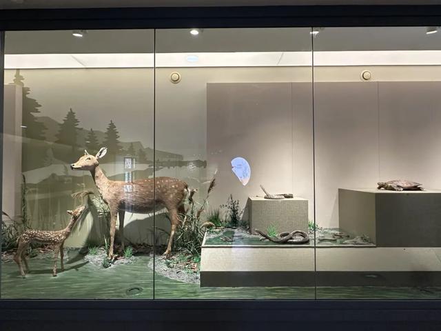 中国第一座公共博物馆120周年！系列重磅活动开启！