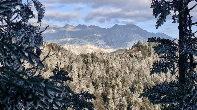 秋假期间西岭雪山“教育+文旅”玩法火出圈