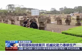 自动播种、智能育秧……这届春耕满满科技范儿图片