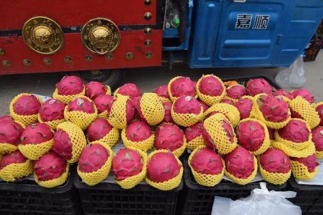 肥城寒假指南｜走！赶大集去~附大集时间表，收好！