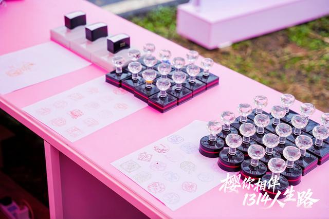 雨中赏樱徒步13.14公里！千余人在江夏安山赴一场“一生一世”的约定