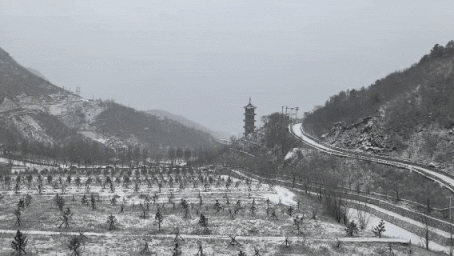 雪中的房山真美