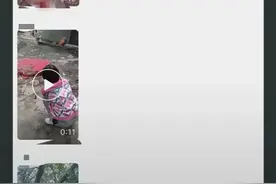 “狗被杀害剥皮”！3名男子闯动物救助基地杀狗伤人，安徽警方回应图片