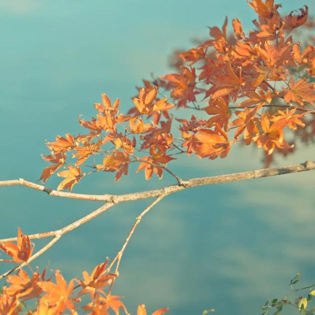 在上饶婺女洲美美入冬，朋友圈可以这样发→