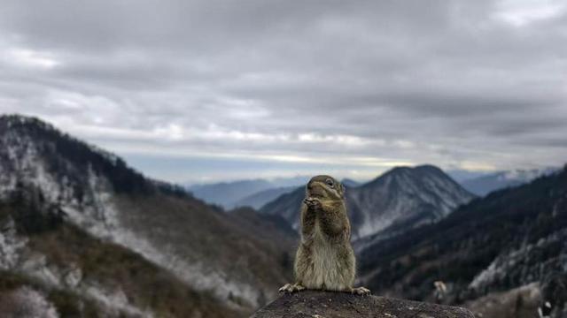 小创意撬动大流量，西岭雪山的文创奖牌出圈密码