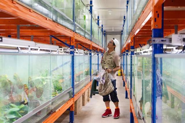 他初中毕业后终身不婚	，荒野舍命工作20年，被一群博士封神