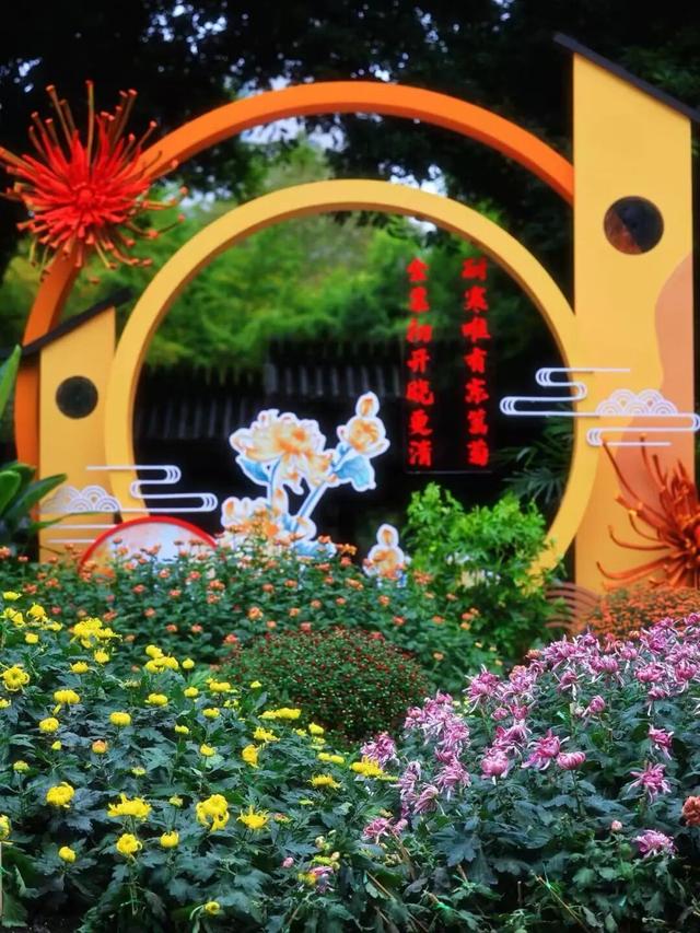 免费观赏！美到犯规