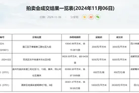 成都土拍丨26300元/㎡成交！高新区59亩宅地刷新地价纪录图片