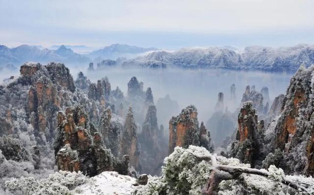 张家界国家森林公园畅游年卡来啦！还有10万现金等你来抽奖哦！