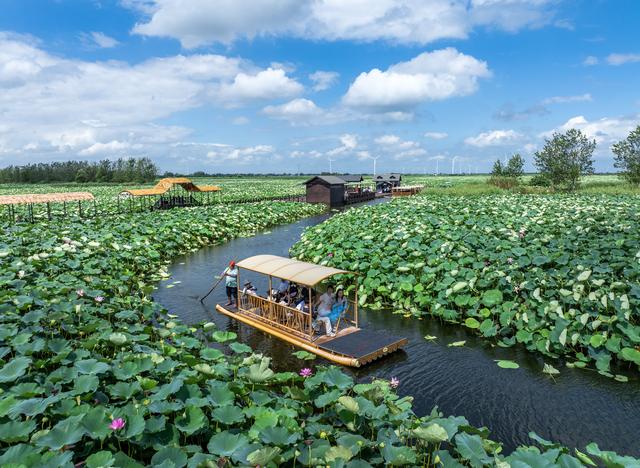 解锁世界“最佳旅游乡村”东罗村的四季文旅密码