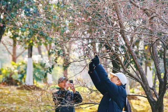 剧透抢先看！这届园博园花灯会“戏很多”