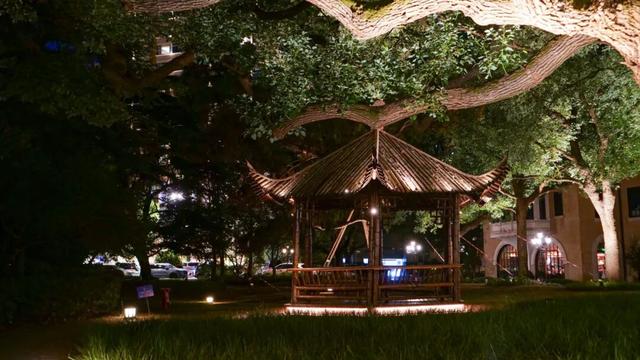 来长宁这里沉浸式夜游，每一步都是浪漫～