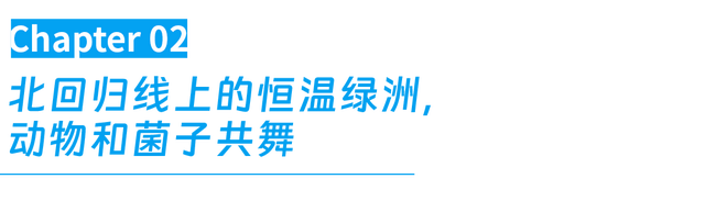 人挤人的暑假，这座云南小城避暑也避世