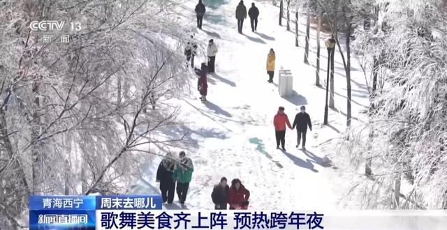 视频丨赏冰雕品美食 穿唐装游古街 周末开启跨年欢乐模式