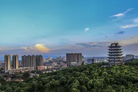 风鹏万里正举——来自攸县高分子新材料和精细化工主导产业主导县域经济高质量发展的专题调研报告图片