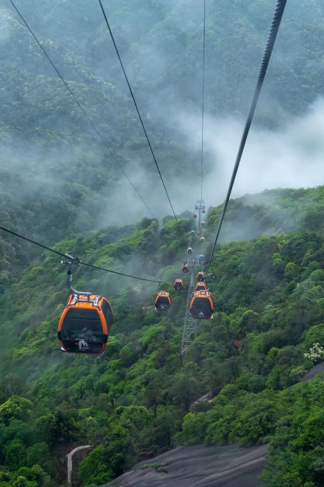 山在云中“飘”，人在画中“游”！这趟“追云之旅”别错过
