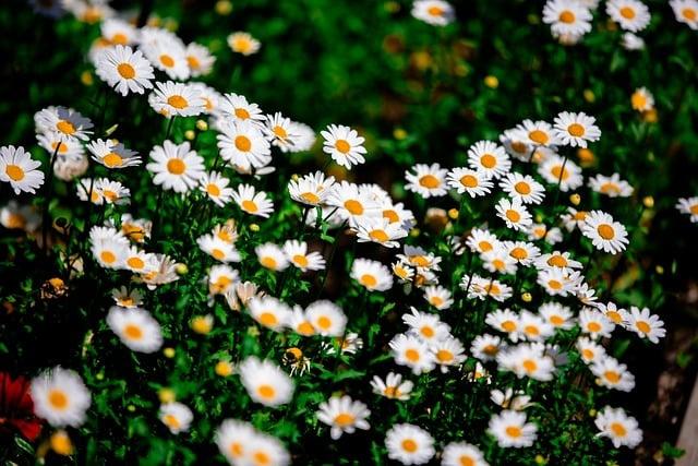 蔡骏：造访一位智者