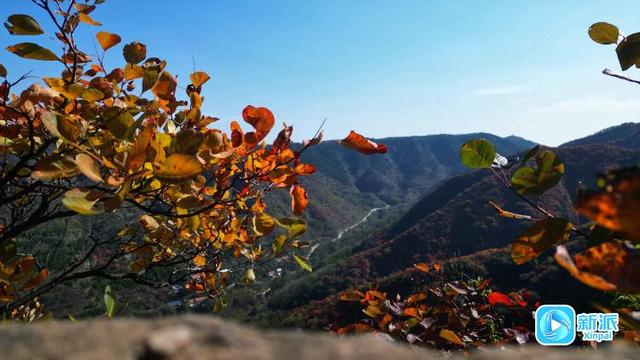 来潍坊青州锯齿崖，共赴一场秋日绮梦