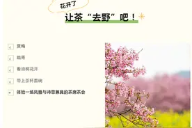 花开了，让茶“去野”吧！图片