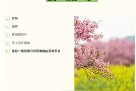 花开了，让茶“去野”吧！图片