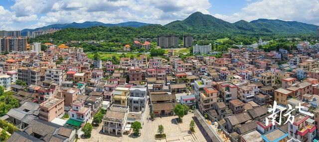 深读｜一座山，如何激活中山全域农文旅