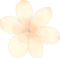 开了？达州：真的开了！