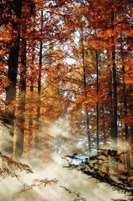 收藏！秋天是写在古都的诗篇