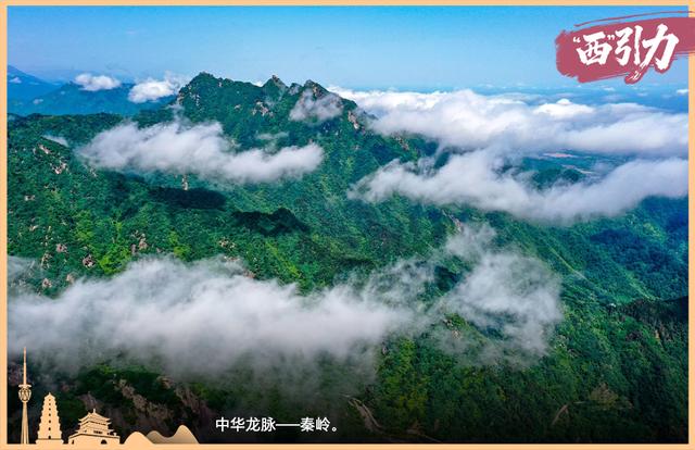 这就是“西”引力