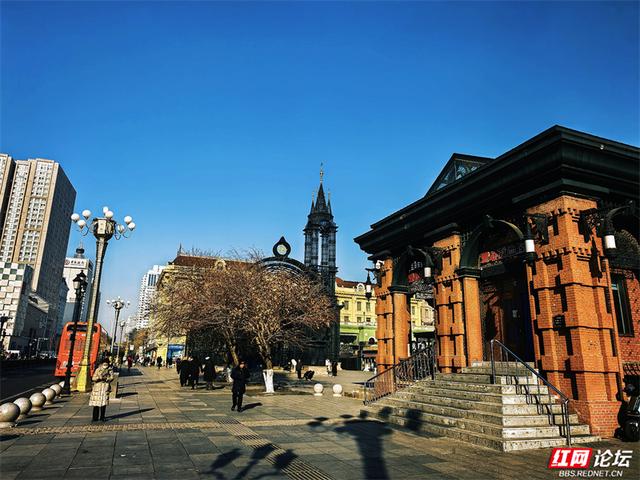 岁暖时刻丨来哈尔滨，一定要走一次中央大街