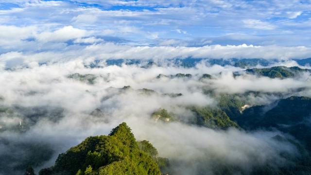 图库精选丨今日好图（2025年8月16日）