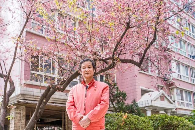 武汉进入“超长春天”！全国网友：天花板，错过要等一年